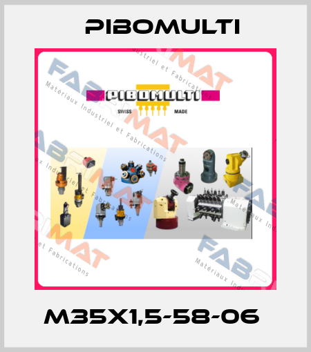 M35x1,5-58-06  Pibomulti