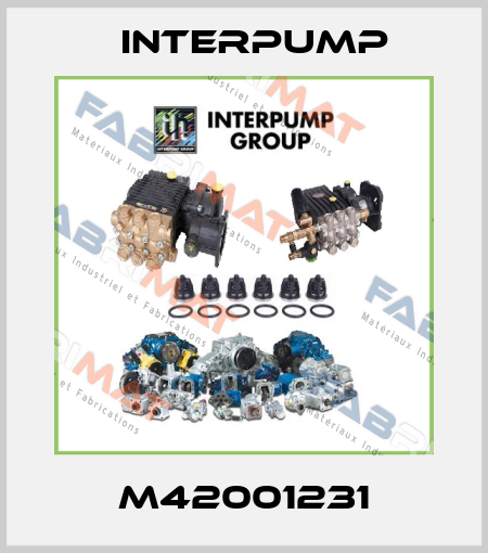 M42001231 Interpump