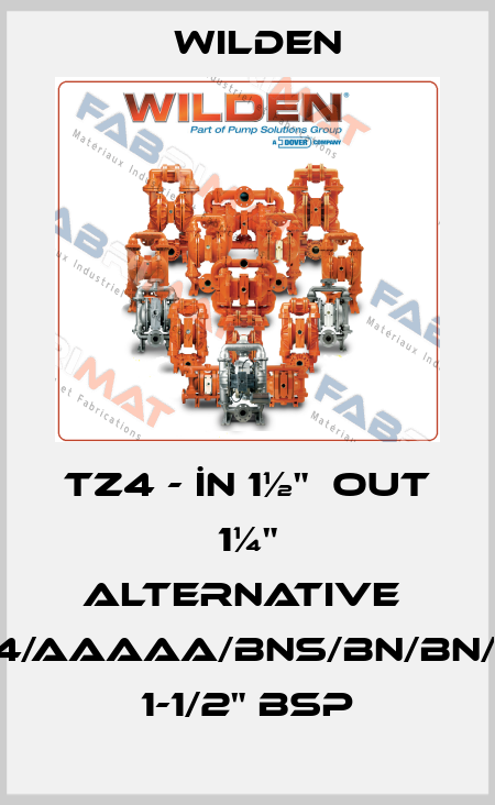TZ4 - İN 1½"  OUT 1¼" alternative  XPS4/AAAAA/BNS/BN/BN/0014 1-1/2" BSP Wilden