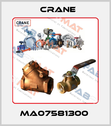MA07581300  Crane