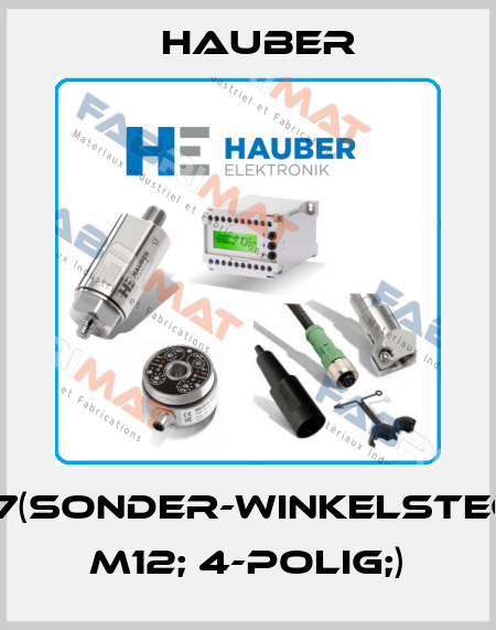 10957(Sonder-Winkelstecker M12; 4-polig;) HAUBER