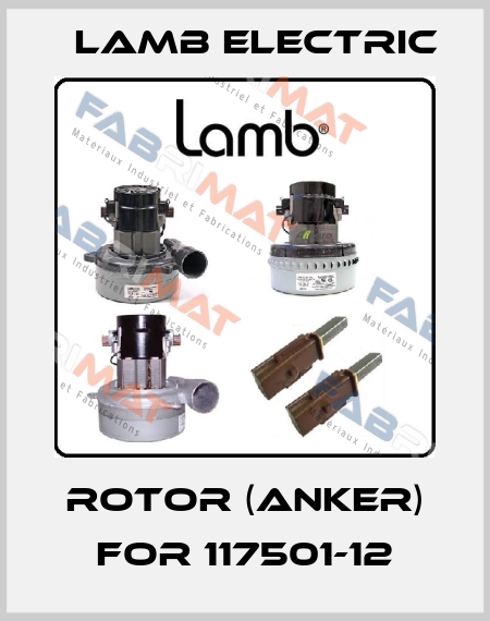 Rotor (Anker) for 117501-12 Lamb Electric