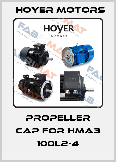 Propeller cap for HMA3 100L2-4 Hoyer Motors