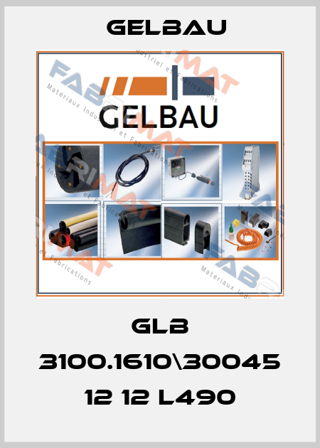GLB 3100.1610\30045 12 12 L490 Gelbau