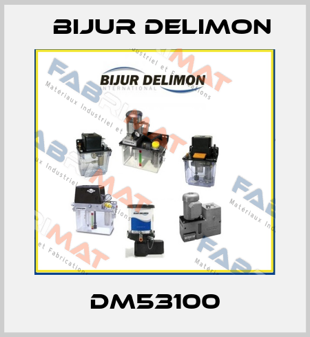 DM53100 Bijur Delimon