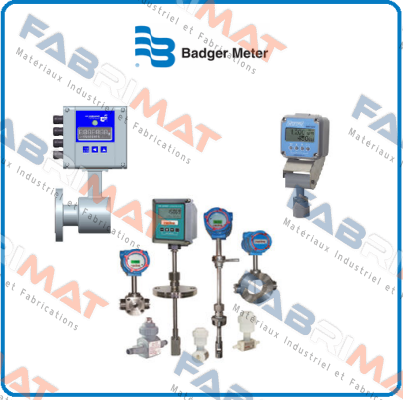 140009 Badger Meter