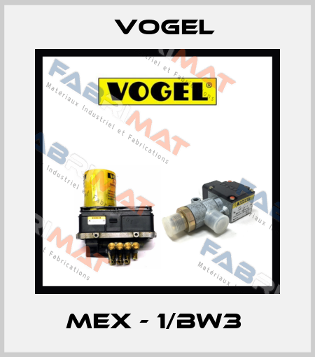 MEX - 1/BW3  Vogel