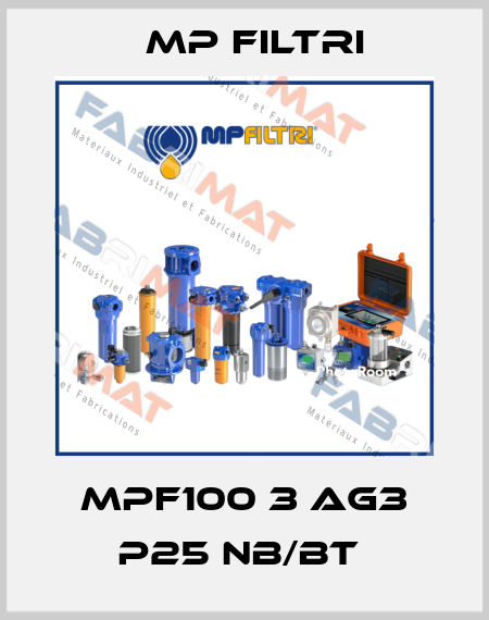 MPF100 3 AG3 P25 NB/BT  MP Filtri
