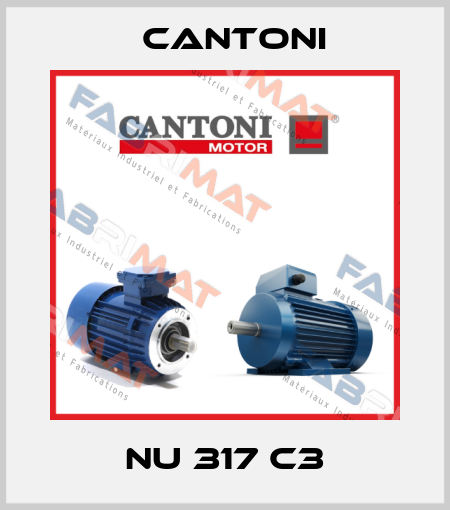 NU 317 C3 Cantoni