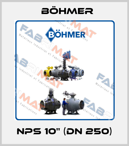 NPS 10" (DN 250) Böhmer