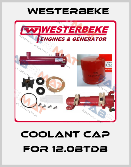 Coolant cap for 12.0BTDB Westerbeke