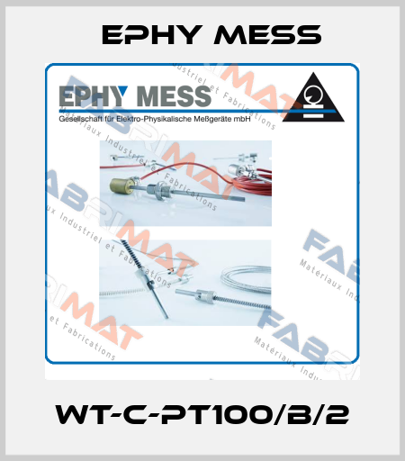 WT-C-PT100/B/2 Ephy Mess