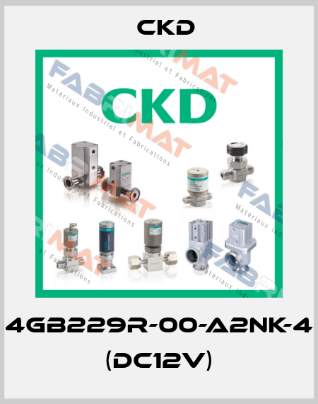4GB229R-00-A2NK-4 (DC12V) Ckd