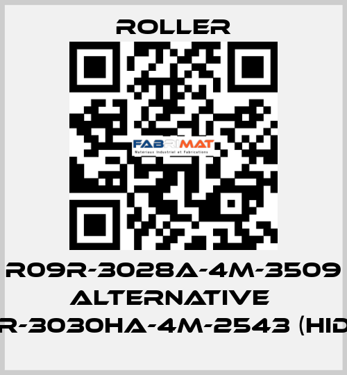 R09R-3028A-4M-3509 alternative  R09R-3030HA-4M-2543 (Hidria) Roller