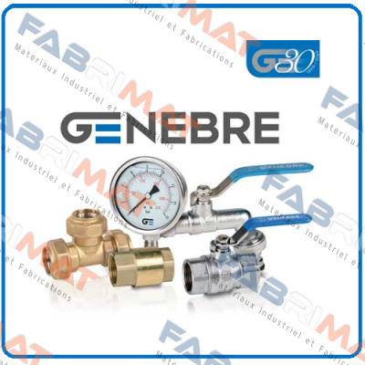 2954 08 (pack x15) Genebre