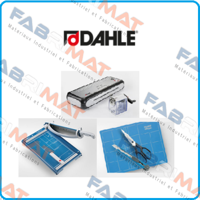 40534 Dahle