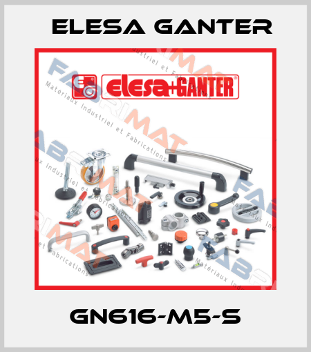 GN616-M5-S Elesa Ganter