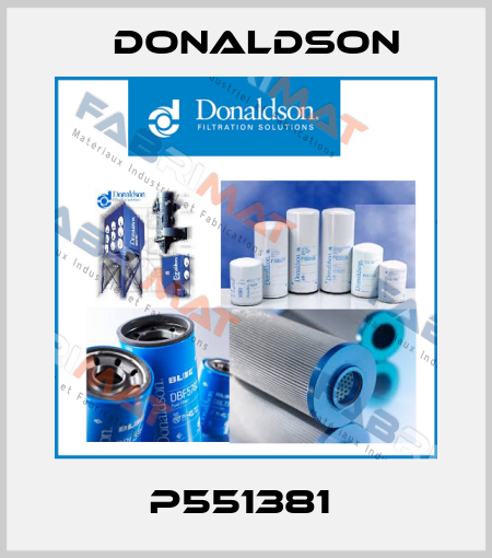 P551381  Donaldson