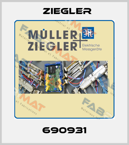 690931 Ziegler