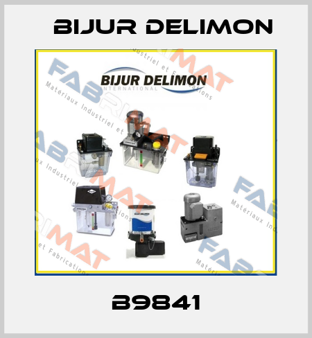 B9841 Bijur Delimon