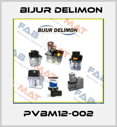 PVBM12-002 Bijur Delimon