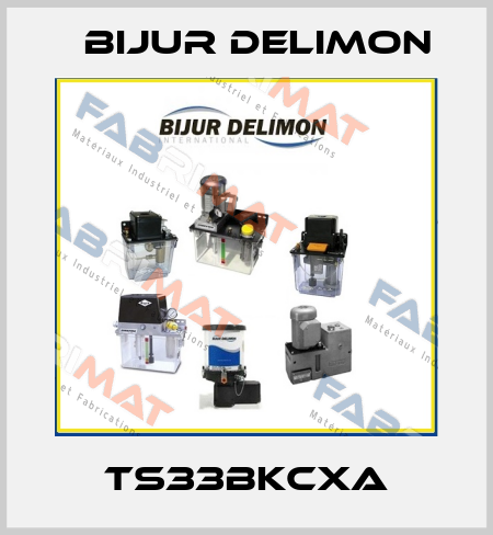 TS33BKCXA Bijur Delimon