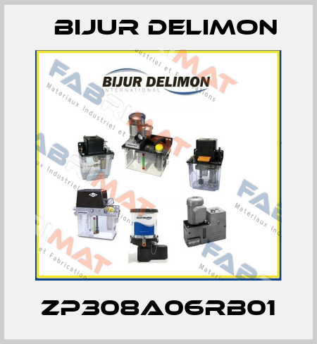 ZP308A06RB01 Bijur Delimon