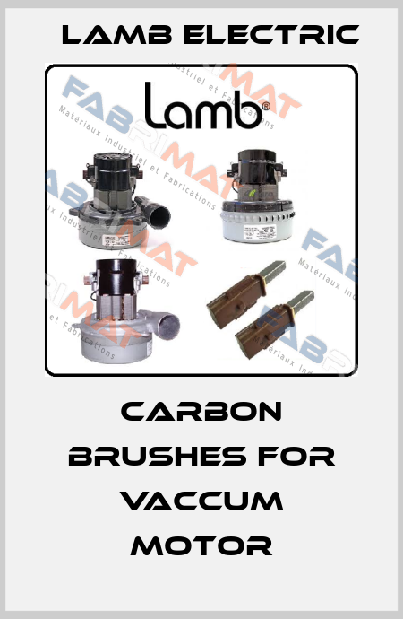 Carbon Brushes for Vaccum Motor Lamb Electric