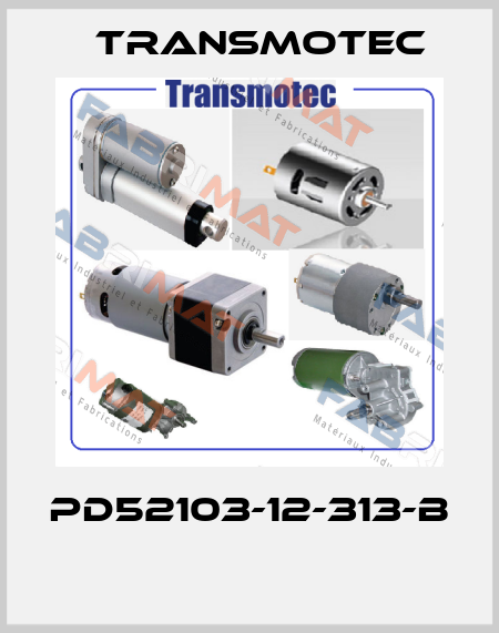 PD52103-12-313-B  Transmotec