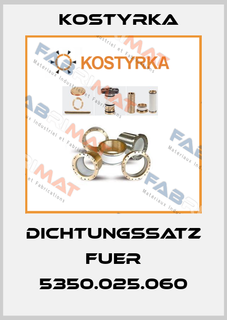 Dichtungssatz fuer 5350.025.060 Kostyrka