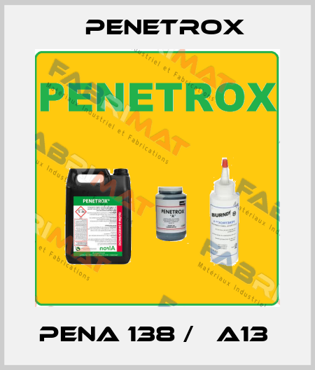 PENA 138 /   A13  Penetrox