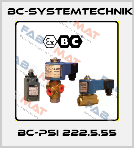 BC-PSI 222.5.55 BC-Systemtechnik