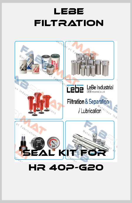 Seal kit for  HR 40P-G20 Lebe Filtration