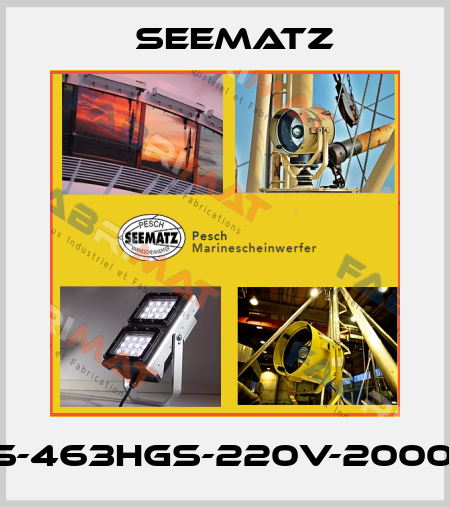 DS-463HGS-220V-2000W Seematz