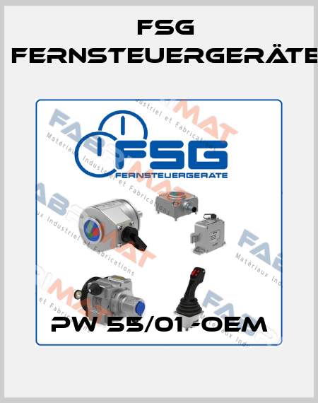 PW 55/01 -OEM FSG Fernsteuergeräte