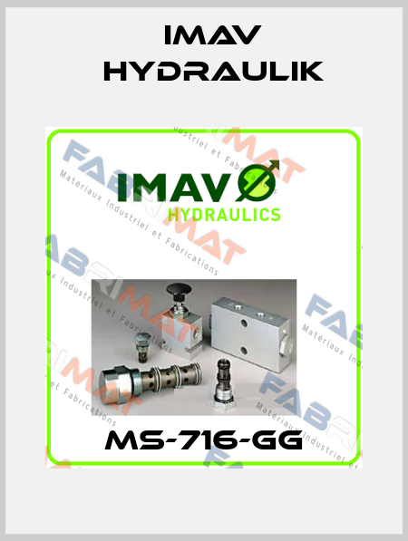 MS-716-GG IMAV Hydraulik