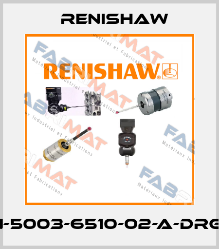 N-5003-6510-02-A-DRG1 Renishaw
