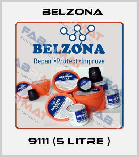 9111 (5 litre ) Belzona
