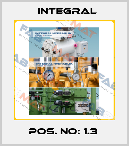 POS. NO: 1.3  Integral