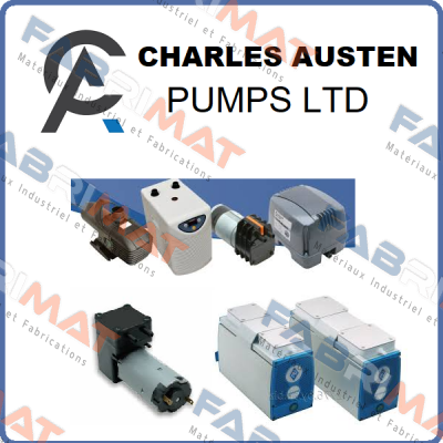 X87-233/11 Charles Austen Pumps