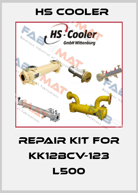repair kit for KK12BCV-123 L500 HS Cooler