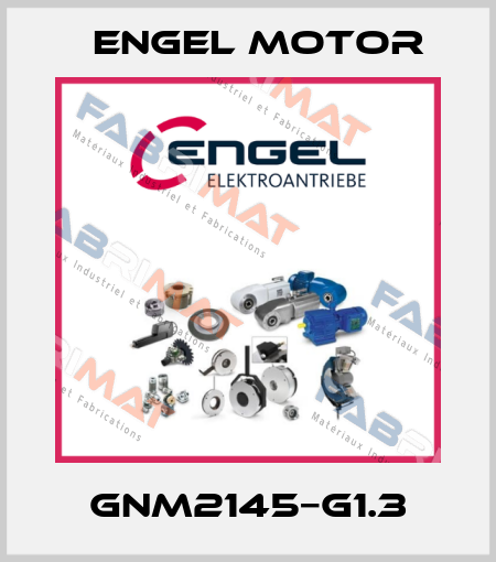 GNM2145−G1.3 Engel Motor
