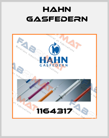 1164317 Hahn Gasfedern