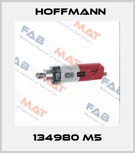 134980 M5 Hoffmann