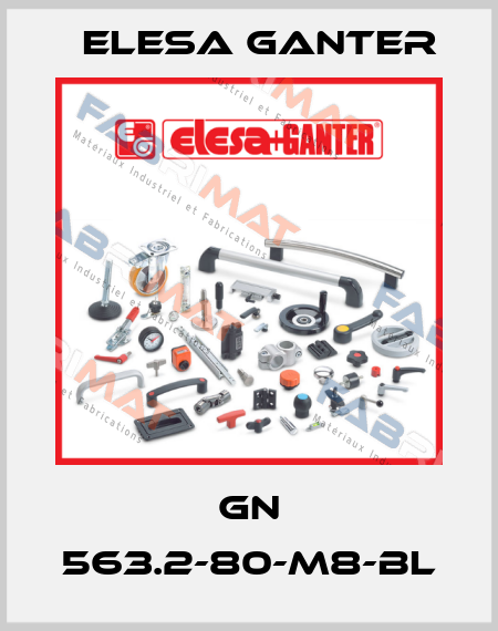GN 563.2-80-M8-BL Elesa Ganter