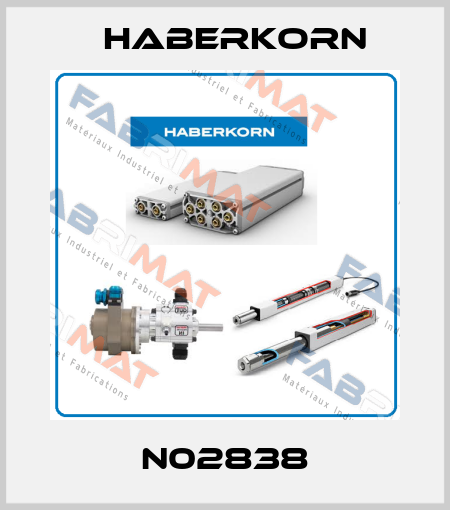 N02838 Haberkorn