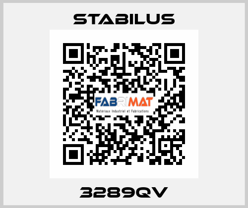 3289QV Stabilus