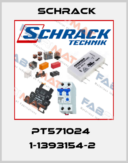 PT571024   1-1393154-2  Schrack