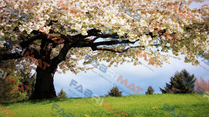 P/N: 117330,Type: CES-I-AP-M-C04-U20-117330 De-Test DENEME