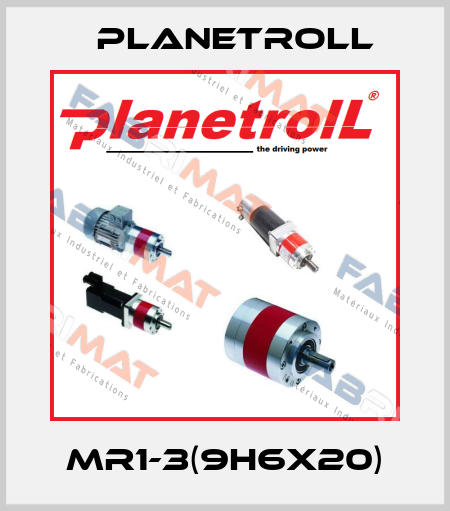 MR1-3(9h6x20) Planetroll